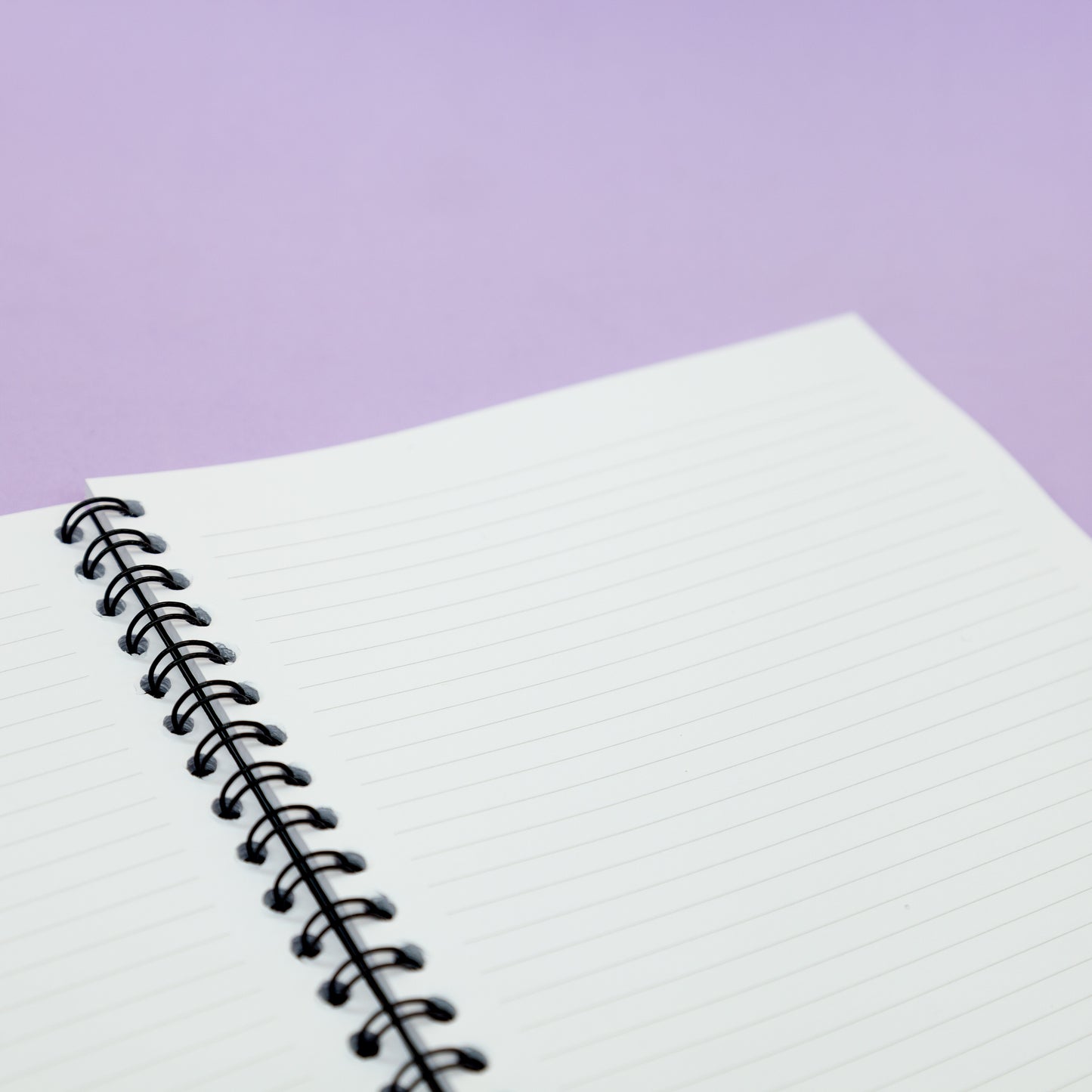 Thunderbox pasadas 2024 - Últimos productos