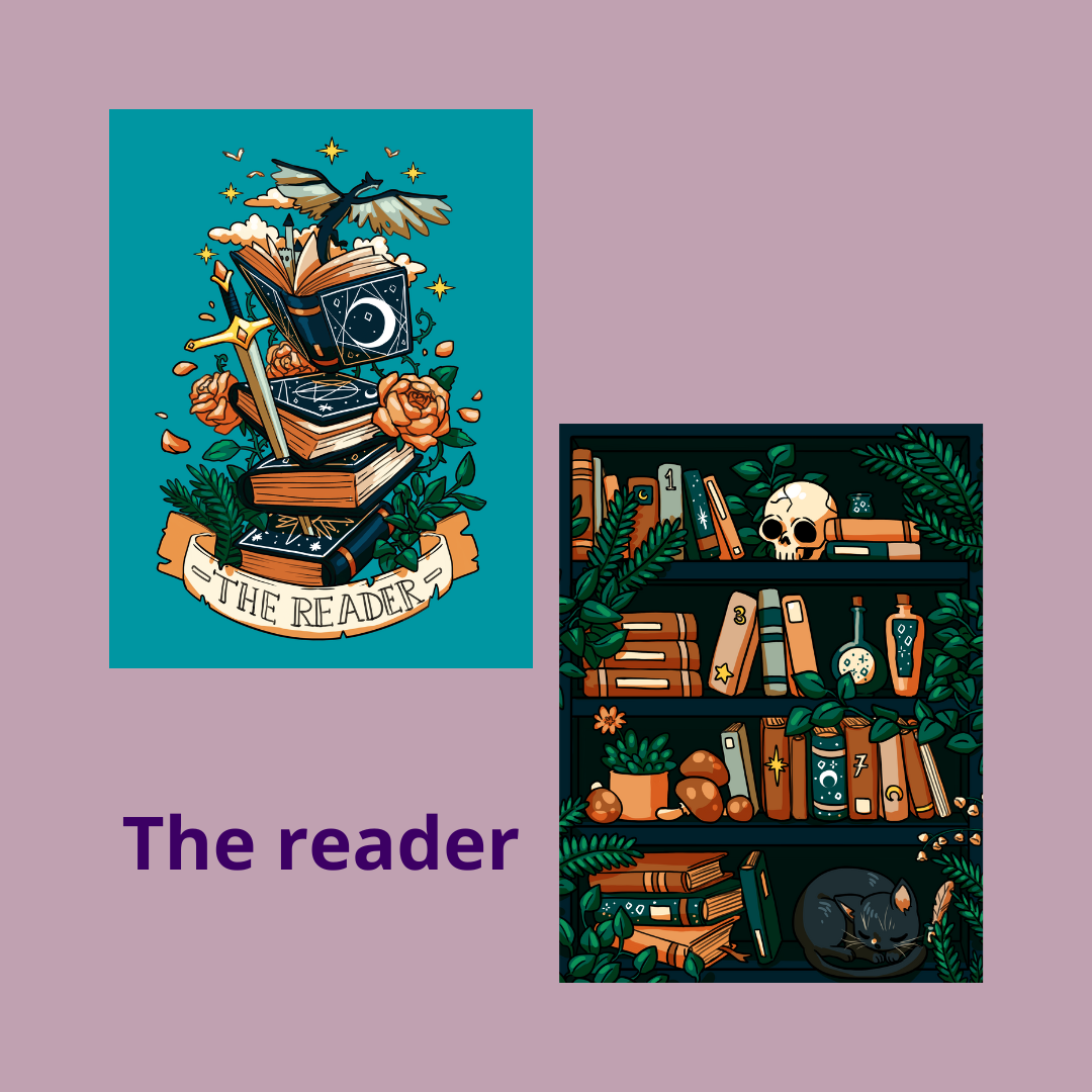 Funda Libro PREMIUM  (PREVENTA)