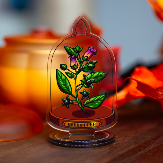 Últimas unidades Thunderbox "Bruja verde"