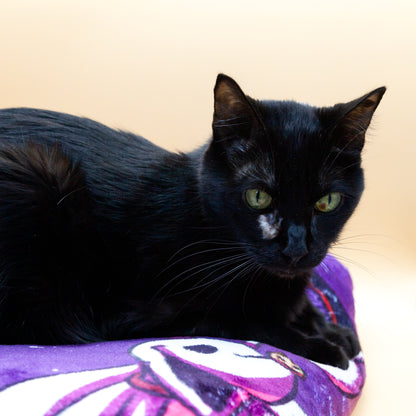 Manta (Diseño y tamaño a elegir) (PREVENTA) (leed descripción)